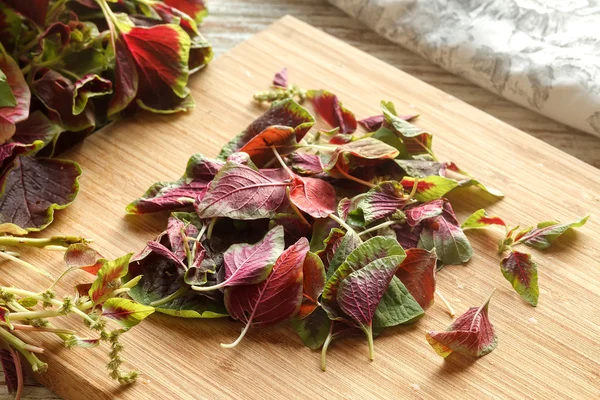 Bayam sayuran segar organik merah — Stok Foto
