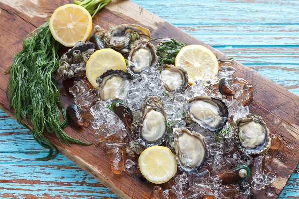Osztriga tengeri citrom kapros friss kagyló Ázsia előétel — Stock Fotó