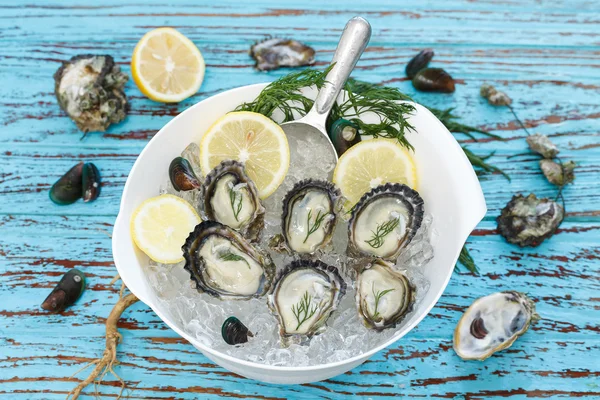 Oyster seafood lemon dill fresh mussel asia appetizer — Stock Photo, Image