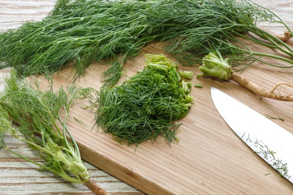 Endro ingrediente vegetal natureza verde orgânico picado — Fotografia de Stock