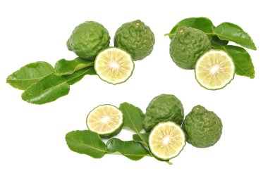 ot taze madde izole kümesi Bergamot Güney Afrika'da bir kabile kireç yaprakları