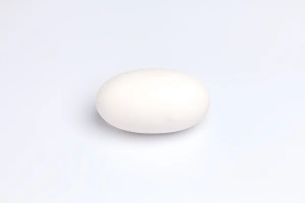 Crocodile alligator egg one white background — Stock Photo, Image