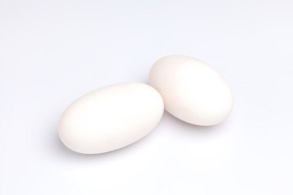 Группа яиц крокодилов на белом фоне
