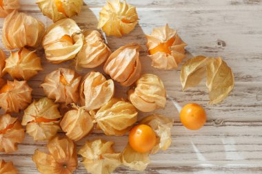Cape bektaşi üzümü physalis meyve zemin kiraz organik gıda vegetabl