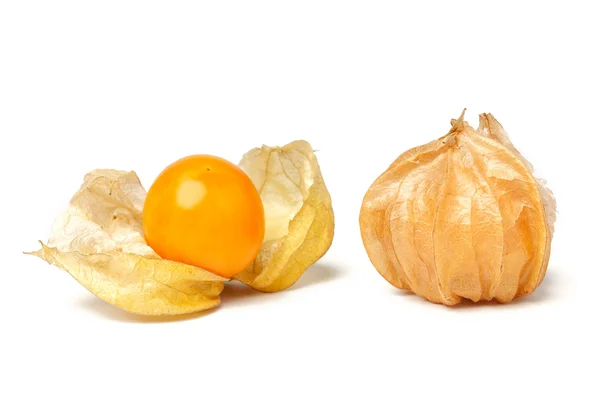 Capa grosella physalis fruta cereza molida alimentos ecológicos vegetal — Foto de Stock