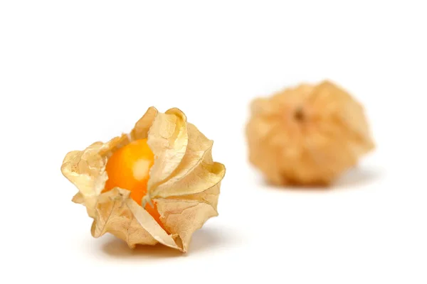 Capa grosella physalis fruta cereza molida alimentos ecológicos vegetal — Foto de Stock