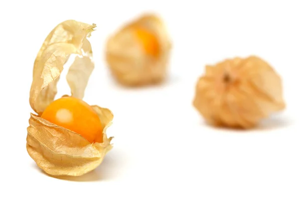 Capa grosella physalis fruta cereza molida alimentos ecológicos vegetal — Foto de Stock