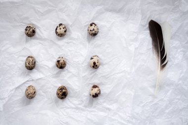 bıldırcın yumurtası düz hala hayat şık gıda ile yatıyordu.