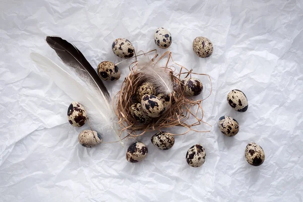 quail eggs flat lay still life with food stylish