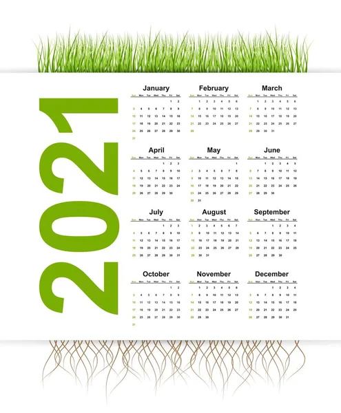 Calendario Vectorial 2021 Año Estilo Hierba — Vector de stock