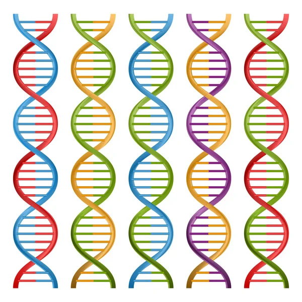 Conjunto de símbolos de ADN para ciencia y medicina. Diseño vectorial . — Archivo Imágenes Vectoriales