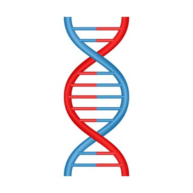 Vector DNA icon