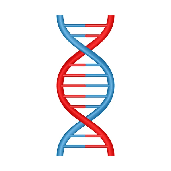 Vektor-DNA-Symbol lizenzfreie Stockillustrationen