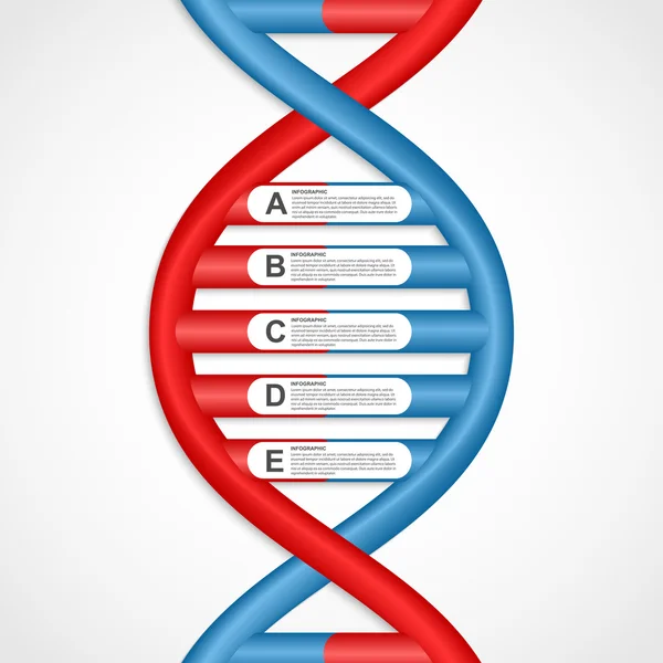 Infographics i formuläret Dna spiralen. Vektor designelement. — Stock vektor