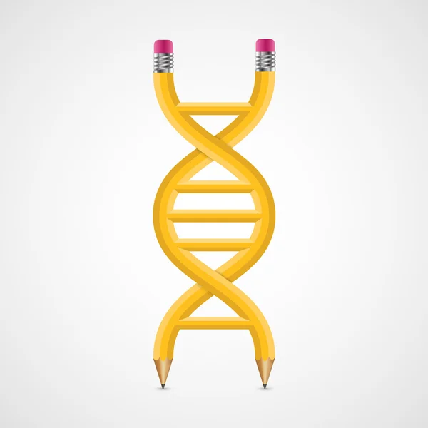 3D creative Icon DNA from pencils. — Stock Vector