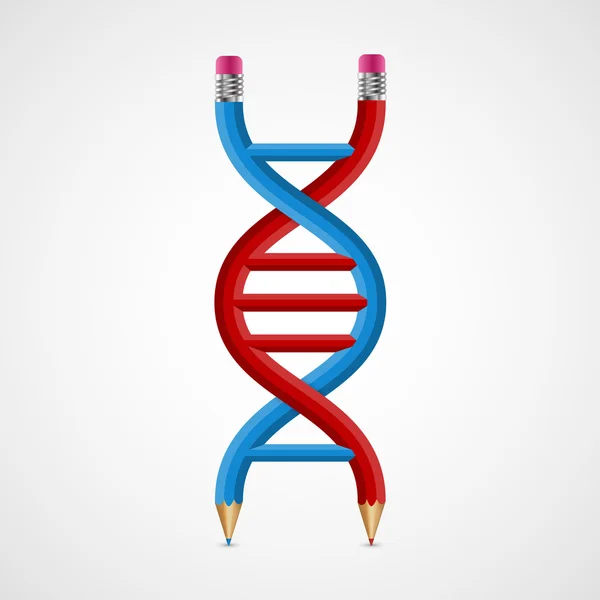 3D creative Icon DNA from pencils. — Stock Vector