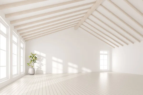 Render Empty Room White Wall Vase Plant Wooden Laminate Floor — Stock Photo, Image