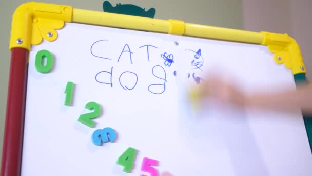 Crianças mãos escrevendo em placa de ímã branco para aprender letras e palavras em casa — Vídeo de Stock