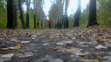 Sonbahar ormanlarında koşan adam.