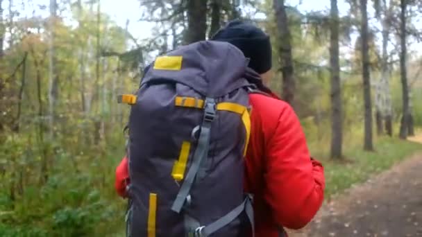 Turista s batohem v lese. podzimní trekking — Stock video