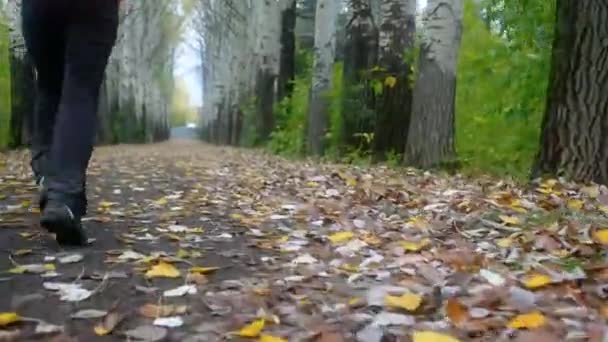 Junger Mann läuft in Park Herbstlaub — Stockvideo