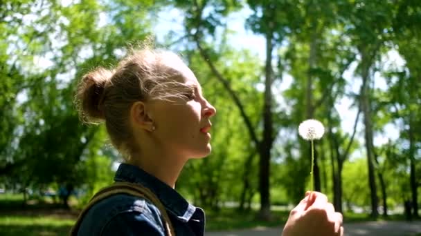 Γυναίκα φυσάει σε λευκό πικραλίδα στο πάρκο του καλοκαιριού — Αρχείο Βίντεο