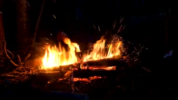 Quemaduras de hoguera en el camping por la noche — Vídeo de stock