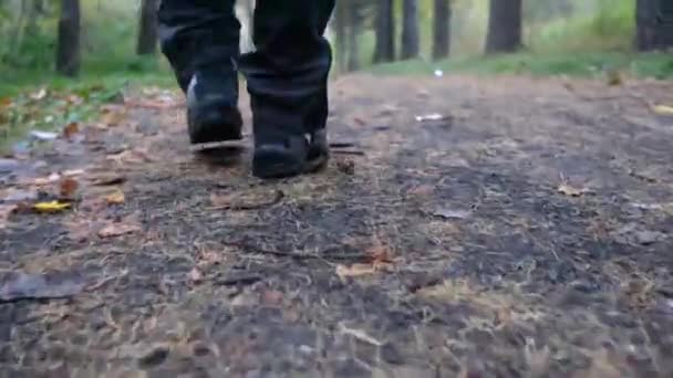 Mens sapatos andando sobre folhas de outono — Vídeo de Stock