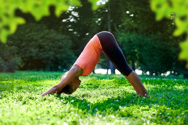 Yoga Mujer Joven Practicando Yoga Bailando Estirándose Naturaleza Parque Concepto Fotos de stock