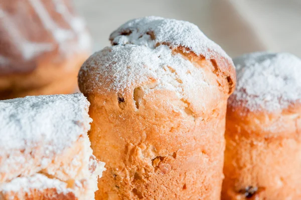 Torta di Pasqua con zucchero a velo e uvetta — Foto Stock