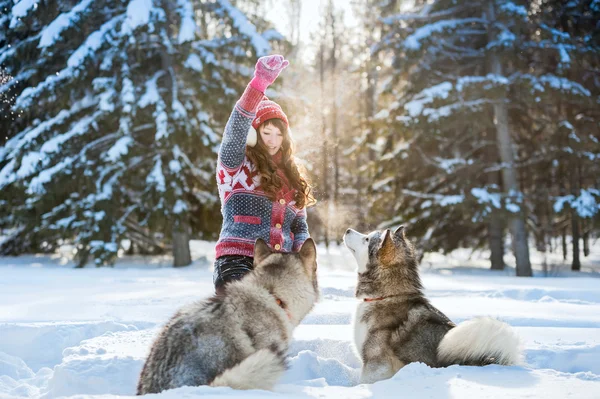 Jovem brincando com o cão malamute no inverno — Fotografia de Stock