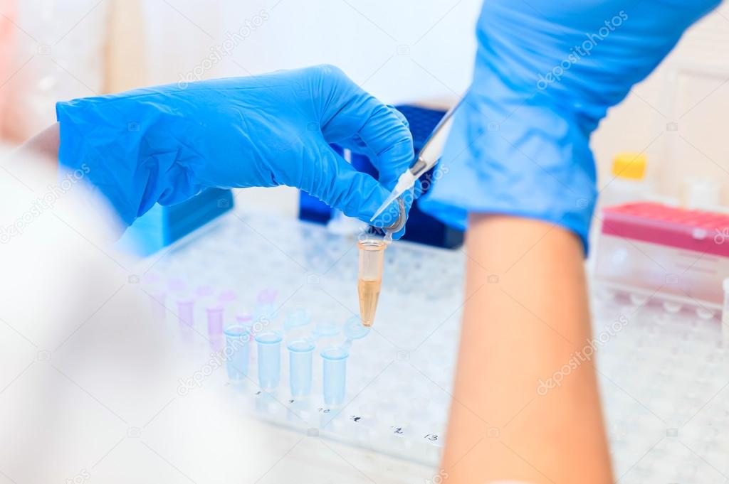 scientist hands with dropper or pipette, examining samples and liquid in modern laboratory