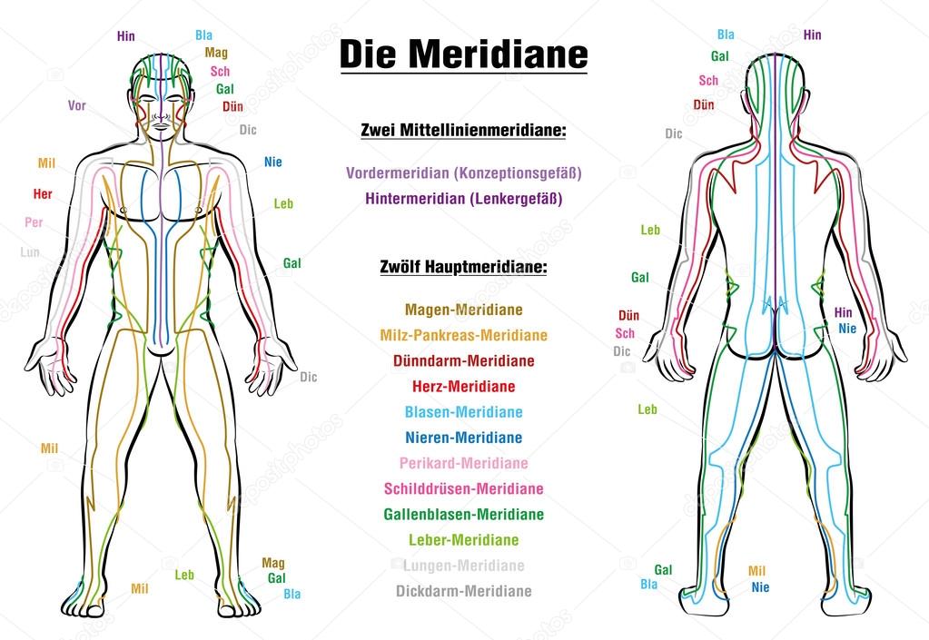 Meridian System Description Chart GERMAN