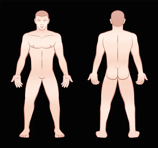 Обнаженный человек с видом сзади — стоковый вектор