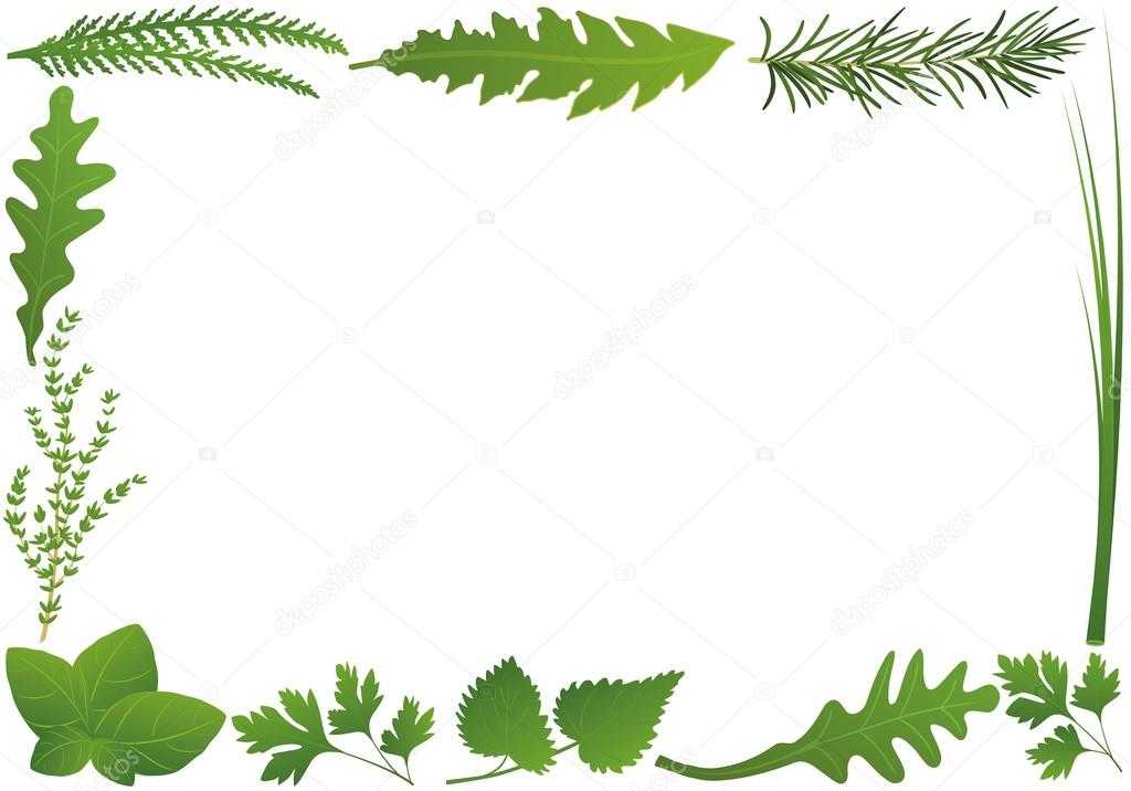 Culinary Herbs Frame Horizontal