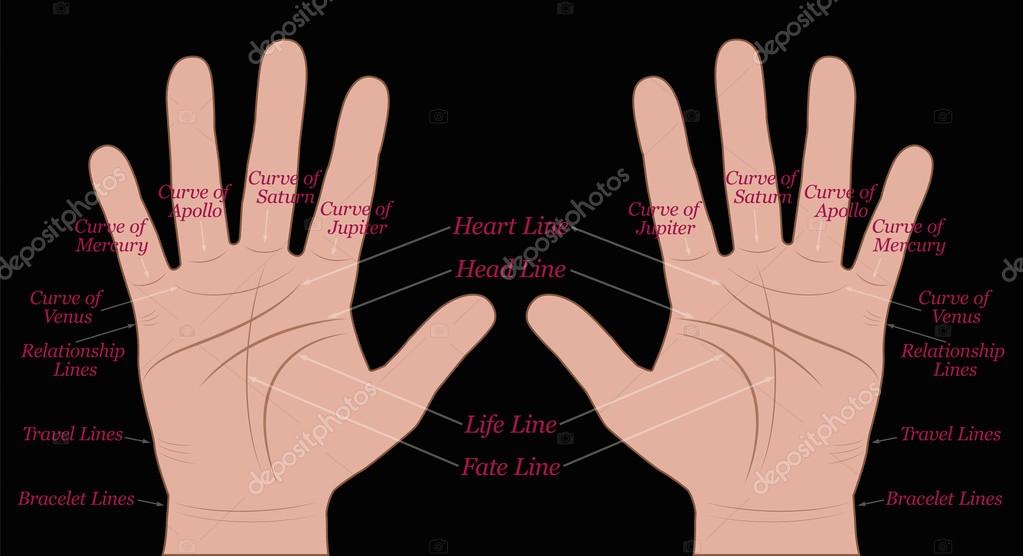 Wrist line | Bracelet Rascette Lines | Free Online Palmistry | Palmistry -Astrology.com