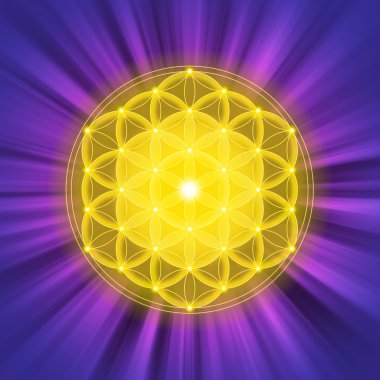 Parlak altın Flower of Life üzerinde mor ışık ışınları