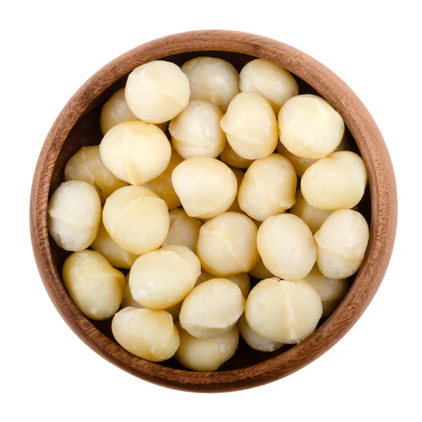 Macadamia nuts in a bowl over white — Stock Photo, Image