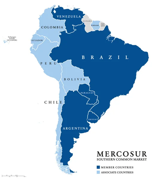MERCOSUR Mercado Común del Sur países información mapa — Vector de stock
