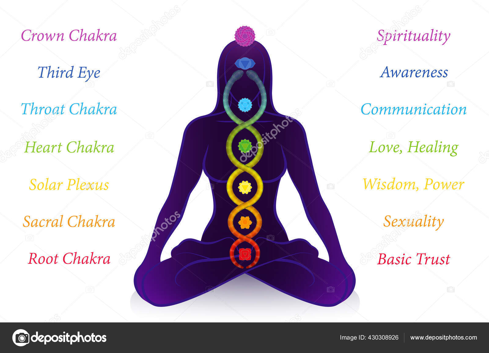 Kundalini Serpente Chakras Com Nomes Significados Mulher Meditando