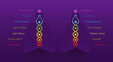Meditating couple with seven main chakras and kundalini serpent or coiled snake, symbol for spiritual awakening, healing power and harmony. With names and meanings, purple background. vector Meditating couple with seven main chakras and kundalini serpent or coiled snake, symbol for spiritual awakening, healing power and harmony. With names and meanings, purple background. vector