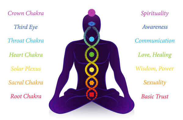 Chakras and Kundalini serpent with names and meanings, meditating man, symbol for spiritual awakening, healing power and balance, celestial harmony and relaxation. Vector illustration on white.