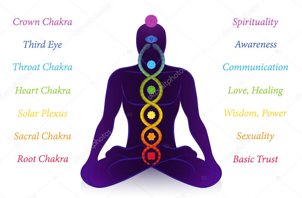 Chakras and Kundalini serpent with names and meanings, meditating man, symbol for spiritual awakening, healing power and balance, celestial harmony and relaxation. Vector illustration on white.