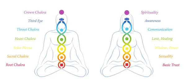 Kundalini Meditáció Szerelempár Kundalini Kígyóval Vagy Kígyóval Hét Csakrával Nevekkel — Stock Vector