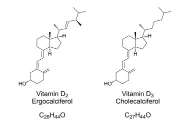 D2 vitamini ve D3 vitamini, kimyasal yapı ve iskelet formülü. Ergocalciferol ve Cholecalciferol, ayrıca kalciferol olarak da bilinir, iki vitamin ve D vitamini illüstrasyonunun ana formlarıdır. Vektör.