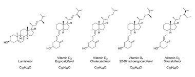 D vitamini formları, kimyasal yapılar ve iskelet formülleri. Lumisterol, ergocalciferol, kolesistekol, 22-dihidroergocalciferol ve sitokalciferol. D1 vitamini, D2 vitamini ve lumisterol karışımıdır..