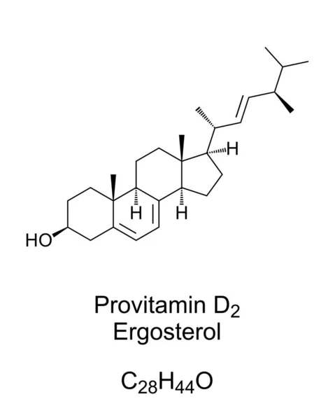 Ergosteroli Vitamiinin Provitamiini Kemiallinen Rakenne Luuston Kaava Steriili Jota Sienten — vektorikuva