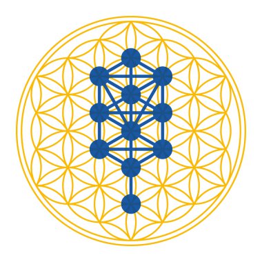 Yaşam Ağacı sembolü Hayat Ağacı 'ndan türemiştir. Hermetic Qabalah gibi mistik geleneklerde altın sembolün üzerinde, üst üste binen dairelerden oluşan diyagram. Kutsal Geometri. İllüzyon. Vektör