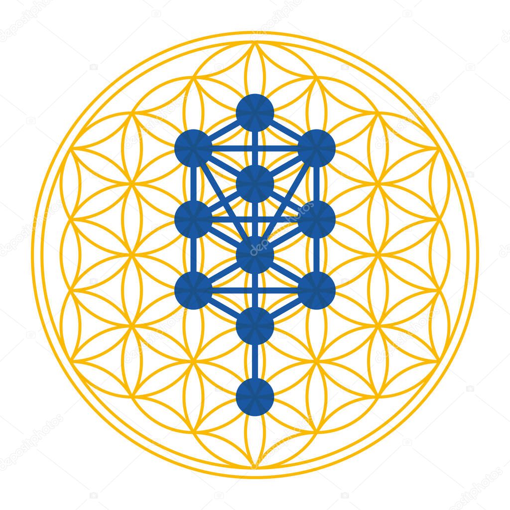 Tree of Life symbol derived from the Tree of Life. Diagram, used in mystical traditions such as Hermetic Qabalah, over golden symbol, made of overlapping circles. Sacred Geometry. Illustration. Vector