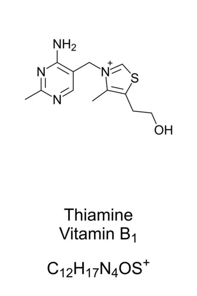 Thiamin Vitamín Chemická Struktura Kosterní Vzorec Kationtu Nalezeno Potravinách Vyráběné — Stockový vektor